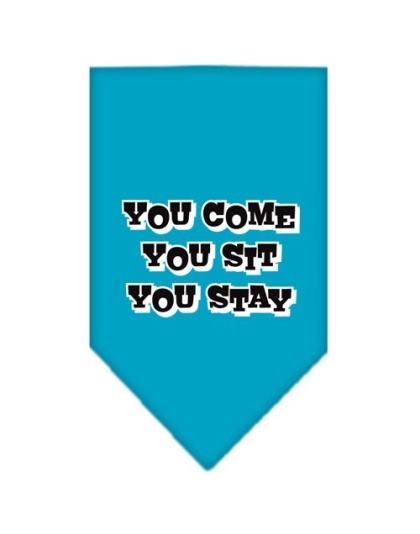 You Come, You Sit, You Stay Screen Print Bandana Turquoise Large