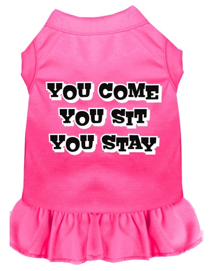 You Come, You Sit, You Stay Screen Print Dress Bright Pink 4X (22)