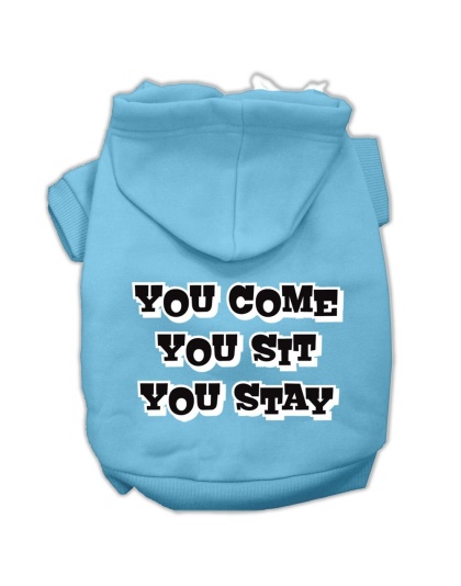You Come, You Sit, You Stay Screen Print Pet Hoodies Baby Blue Size Lg