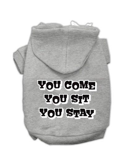 You Come, You Sit, You Stay Screen Print Pet Hoodies Grey Size L