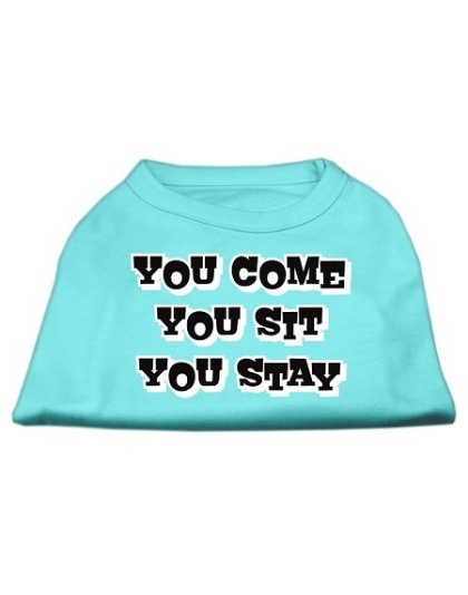 You Come, You Sit, You Stay Screen Print Shirts Aqua L
