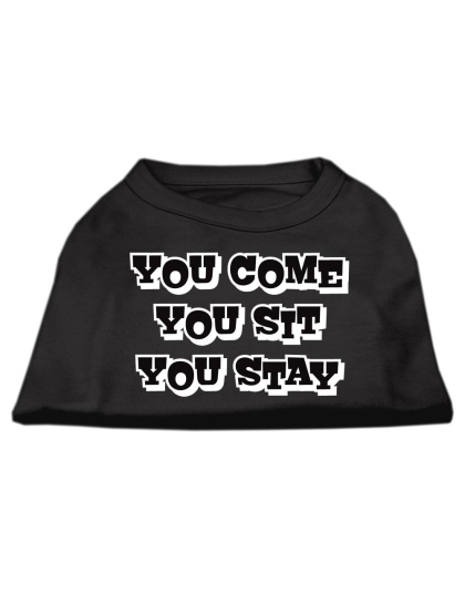 You Come, You Sit, You Stay Screen Print Shirts Black L