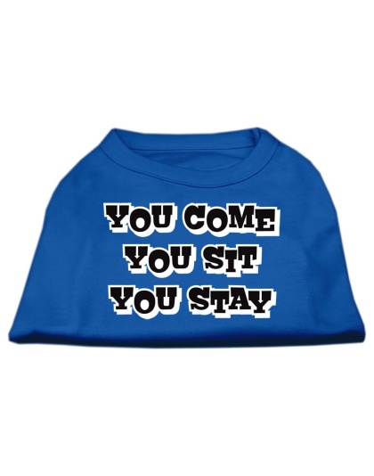 You Come, You Sit, You Stay Screen Print Shirts Blue Lg