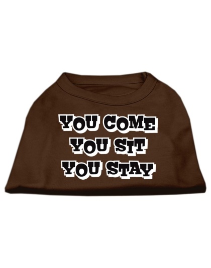You Come, You Sit, You Stay Screen Print Shirts Brown Lg