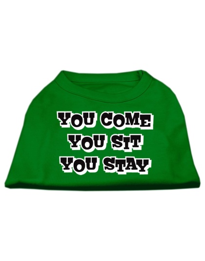 You Come, You Sit, You Stay Screen Print Shirts Emerald Green Lg