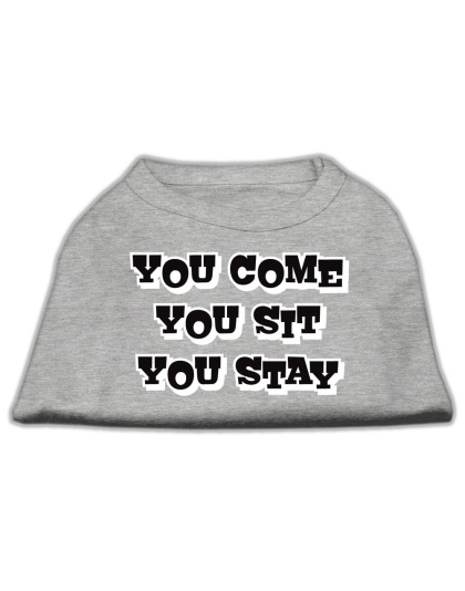 You Come, You Sit, You Stay Screen Print Shirts Grey L