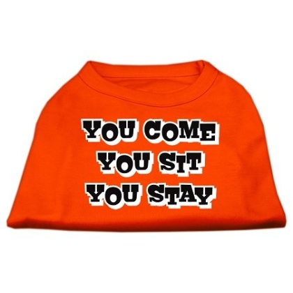 You Come, You Sit, You Stay Screen Print Shirts Orange Lg