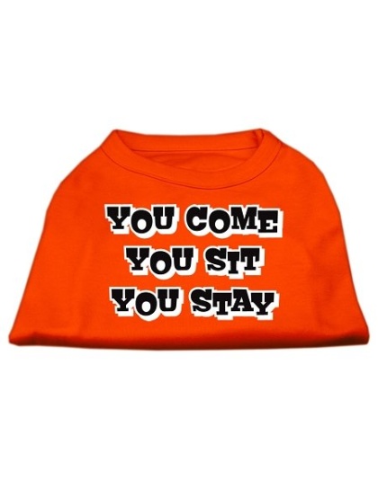 You Come, You Sit, You Stay Screen Print Shirts Orange Lg